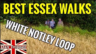 Best Essex Walks  White Notley Circular Walk  Essex Way [upl. by Annissa]