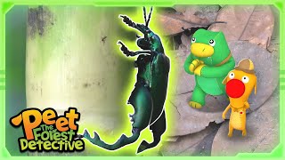 Big Bad Beetles💪🕵️‍♀️  Nature Stories For Kids  Peet The Forest Detective [upl. by Clapp]