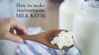 How to Make Milk Kefir [upl. by Bashemath]