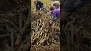 quota wetland oasisquot  how one community is restoring dew ponds for wildlife rewilding renature [upl. by Kimbra261]