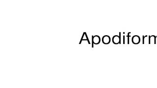 How to pronounce Apodiformes [upl. by Nnylidnarb14]