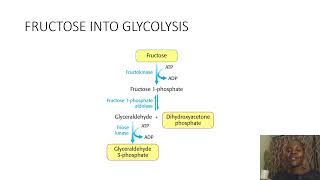 Biochemistry SimplifiedFructoseANDGalactoseintoGlycolysis [upl. by Langille627]