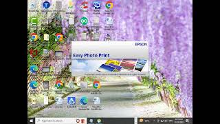 How to Download And Install EPSON Easy Photo Software [upl. by Notluf73]