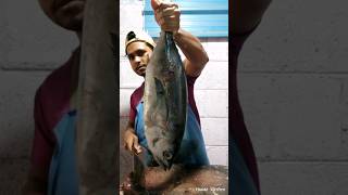 amazing tuna fish cutting skills [upl. by Roddy]