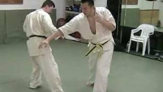 Ashihara Karate USA [upl. by Seaman]