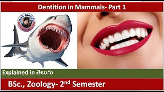 Dentition in mammals part1  Dental formula  Structure of Teeth  HSR Bioinfo [upl. by Neal]