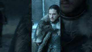 The Story of Jon Snow  Chapter 29A Brothers Fury  Sansa  Game of Thrones shorts [upl. by Kain]