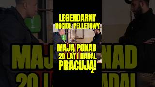 TEGO KOTŁA NIKT NIE POBIJE ABSOLUTNA LEGENDA pellet ogrzewanie ogrzewaniedomu windhagerpl oze [upl. by Retsim]