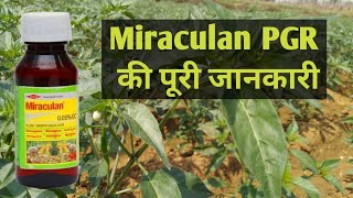 Miraculan PGR के बारे में पूरी जानकारी  Miraculan Plant growth Regulator [upl. by Iruyas]