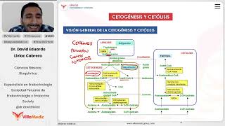 Lípidos  Cetogénesis y cetólisis [upl. by Tacklind]