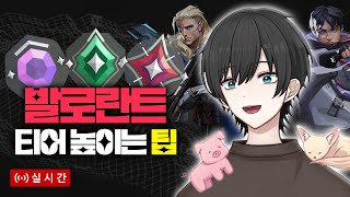 6 발로란트 뉴비 1vs1로 강습 팁 알려드려요 채팅다 읽고 답해드려요 헿 [upl. by Eremehc]