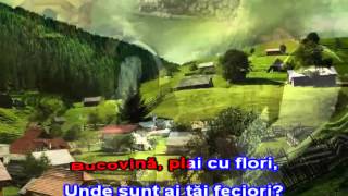 GRIGORE LESE  CANTA CUCUL BATAL VINA Karaoke Romanesti [upl. by Dorcia]