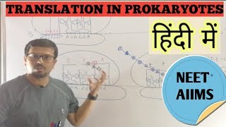 TRANSLATION Protein synthesis in prokaryotes [upl. by Franky]