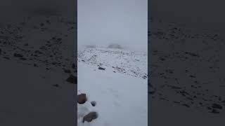 Hiking the Chimborazo 🇪🇨 chimborazo ecuador travel [upl. by Taimi]