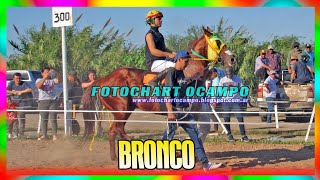 BRONCO Pirane Formosa 02 06 2024 [upl. by Parette]