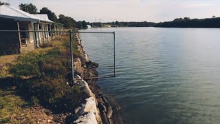 MULTI SPECIES Parramatta river CHALLENGE [upl. by Burny]