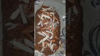 Aflatoon Recipe Full Video Arshi Creator Vlog Par aflatoon recipeshorts food shortsfeed shorts [upl. by Nevets166]