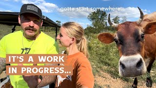 Something New Feeding the Dexter Cows [upl. by Jonna]