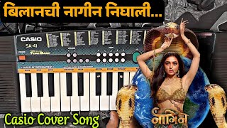 Bilanchi nagin nighali  Marathi song full song  gondi songs  cg song [upl. by Beauregard]