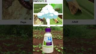 Aconite Chlorantraniliprole 185 SC Insecticide [upl. by Maxama]