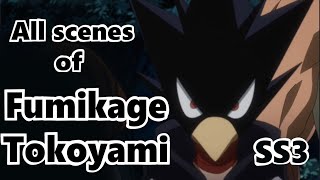 Why Tokoyami Is The Coolest Character  My Hero Academia [upl. by Odlanor]