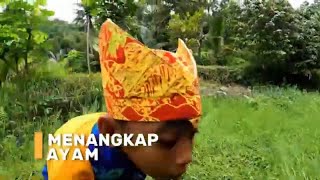 Bantuin Bolang Menangkap Ayam  SI BOLANG 010824 [upl. by Esilehc]