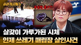 용감한형사들3 피해자를 항상 지켜본 범죄자 쓰레기 매립장에서 발견되 웅크린 시체의 정체는  요약본 [upl. by Rawna]