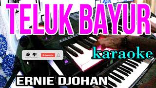 TELUK BAYUR  Ernie Djohan  KARAOKE LAWAS  NADA WANITA [upl. by Oiluj285]