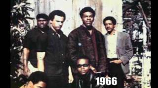 Kathleen Cleaver on Richard Aoki and the formation of the Black Panther Party [upl. by Annoval]