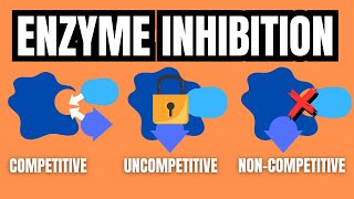 Competitive Noncompetitive and Uncompetitive Inhibition and Graph Responses [upl. by Whiffen432]