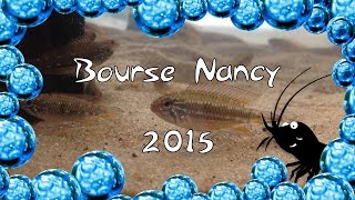 Bourse aquariophile de Nancy 2015 [upl. by Ah]