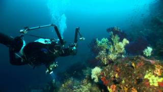 Spot Pantelleria Diving [upl. by Qiratla]