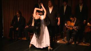 Tomoko Kudo Flamenco Recital Ⅱ AZEMICHI [upl. by Urbani]