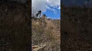 Talaria MX5 First Ride The New Talaria MX5 Is It Perfect [upl. by Antipas]