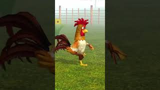 EL gallo Bartolito bailando en la granja [upl. by Morly]