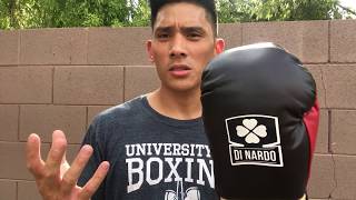 DINARDO Pro Fight Boxing Glove REVIEW [upl. by Renate50]