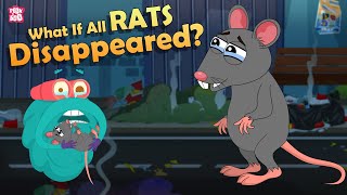 What If All The Rats Disappeared  World Without RATS  The Dr Binocs Show  Peekaboo Kidz [upl. by Armando]