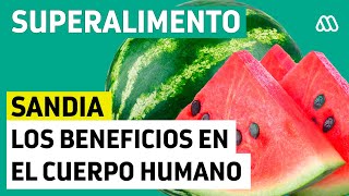 Los múltiples beneficios de la Sandía en el cuerpo humano [upl. by Satsok]