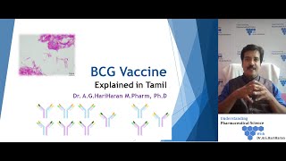 Production of BCG Vaccine Explained in Tamil [upl. by Addi]