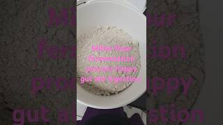 Fermenting millet flour with cold water to make porridge milletflour guthealth [upl. by Adrahc]