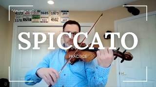 Spiccato in Ten Minutes [upl. by Aldercy581]