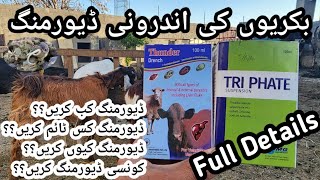 How To Do Internal Deworming of Goats  Complete Information About Goats Deworming in Urdu amp Hindi [upl. by Jedthus620]