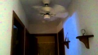 Video Tour of Ceiling Fans Installed in my House [upl. by Ck]