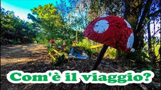 RACCONTIAMO GLI EFFETTI DEI FUNGHI ALLUCINOGENI 🍄 Vlog Cambio Vita giorno 490 in viaggio [upl. by Egap]