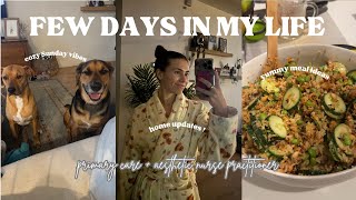 A FEW DAYS AS A NP  home amp kitchen updates Sunday reset cozy dinner recipes  target haul [upl. by Oralia263]