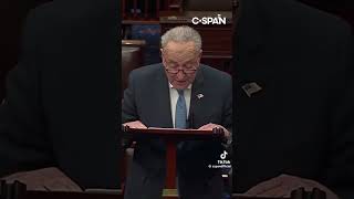 Senator Chuck Schumer Speaks To Fellow Senators donaldtrump maga youtubeshorts [upl. by Llehcor]