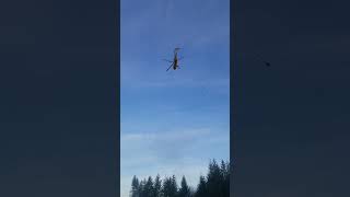 Sikorsky S61 Helicopter Logging Landing a turn [upl. by Htesil]