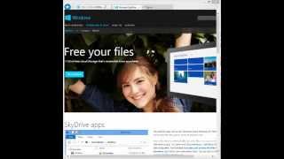 An Overview of Microsoft SkyDrive [upl. by Airdnekal]