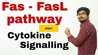 Hindi Fas  FasL Pathway  death signal  cytokine signalling pathway [upl. by Einnaj]