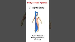 Anatomical planessections of the bodyeducation antony [upl. by Cogn]